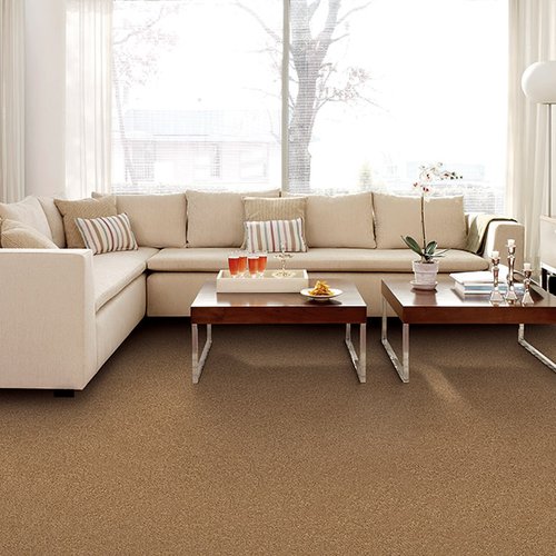 Living room with brown carpet from Prestige Flooring Center in Cathedral City, CA